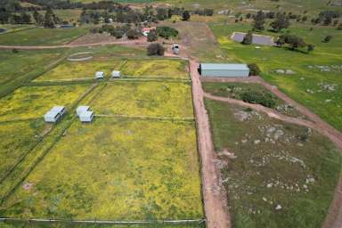 Farm Sold - WA - York - 6302 - Horse lovers dream close to Perth  (Image 2)