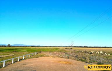 Farm Sold - NSW - Narrabri - 2390 - BUILD YOUR DREAM HOME TO CAPTURE THE SCENIC MOUNTAIN VIEWS  (Image 2)