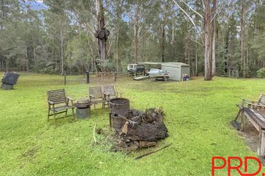 Farm Sold - NSW - Lake Cathie - 2445 - Maker of your Acreage Dreams  (Image 2)