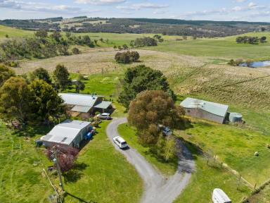 Farm Sold - NSW - Goulburn - 2580 - The Great Escape !  (Image 2)