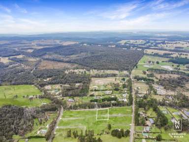 Farm For Sale - NSW - Wingello - 2579 - Affordable Land Opportunity in Wingello  (Image 2)