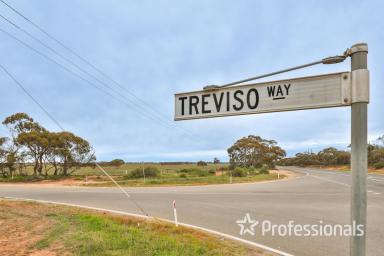 Farm For Sale - VIC - Red Cliffs - 3496 - Treviso Industrial Estate  (Image 2)