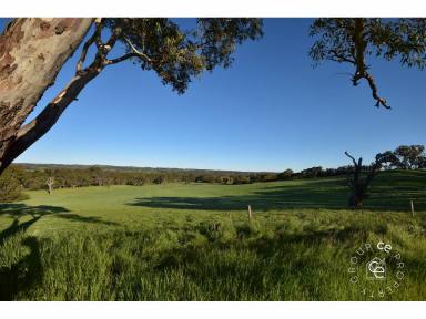 Farm Sold - SA - Flaxman Valley - 5235 - The Most Gorgeous 31 Acres You May Ever See !  (Image 2)