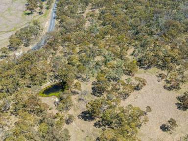 Farm Sold - NSW - Tenterfield - 2372 - Lifestyle Grazing Only Minutes From Town  (Image 2)