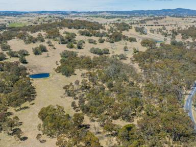 Farm Sold - NSW - Tenterfield - 2372 - Lifestyle Grazing Only Minutes From Town  (Image 2)
