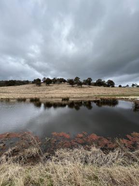 Farm Sold - NSW - Bannaby - 2580 - Perfect weekender on 50 Acres, Grazing, Fully fenced, Road Frontage, 3 Dams, 2 Br, Bathroom, kitchenette, immaculately presented.  (Image 2)