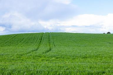 Farm For Sale - VIC - Eurack - 3251 - HIGH CALIBRE COLAC DISTRICT COUNTRY  (Image 2)