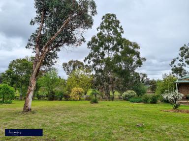 Farm Sold - NSW - Inverell - 2360 - Acreage Living  (Image 2)