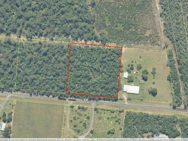 Farm For Sale - QLD - Cardwell - 4849 - BUILD YOUR DREAM HOME HERE  (Image 2)