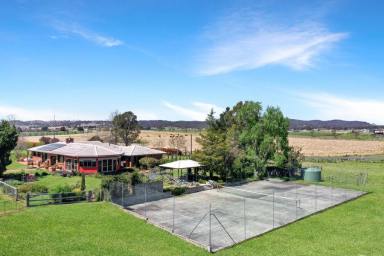 Farm Sold - NSW - Tenterfield - 2372 - Architecturally Designed Home on 4.8ha......  (Image 2)