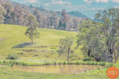 Farm Sold - NSW - Lambs Valley - 2335 - BREATHTAKING RURAL PROPERTY  (Image 2)