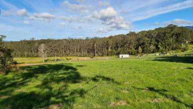 Farm Sold - NSW - Bonville - 2450 - Magical Bonville - Build Your Dream Home Here!  (Image 2)