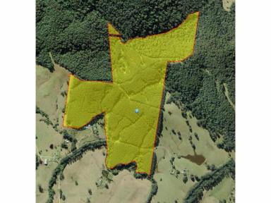 Farm For Sale - NSW - Wootton - 2423 - STUNNING 140 ACRES IN WOOTTON WITH FORESTRY LEASE IN PLACE  (Image 2)