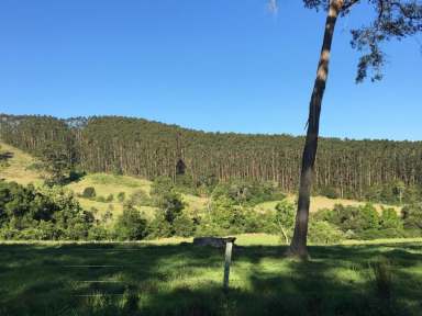 Farm For Sale - NSW - Wootton - 2423 - STUNNING 140 ACRES IN WOOTTON WITH FORESTRY LEASE IN PLACE  (Image 2)