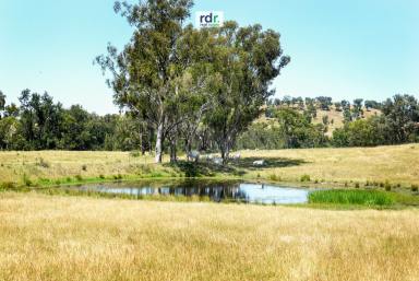 Farm Sold - NSW - Bundarra - 2359 - "AVONDALE"  (Image 2)