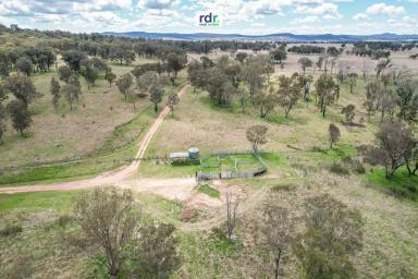 Farm Sold - NSW - Bundarra - 2359 - "AVONDALE"  (Image 2)