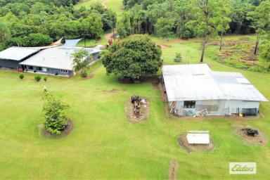 Farm For Sale - QLD - Dingo Pocket - 4854 - Peace and Seclusion with Incredible Views!!!  (Image 2)