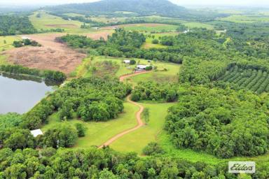 Farm For Sale - QLD - Dingo Pocket - 4854 - Peace and Seclusion with Incredible Views!!!  (Image 2)