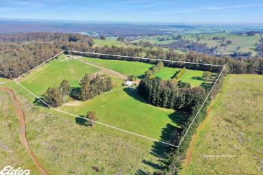 Farm Sold - VIC - Carrajung Lower - 3844 - COUNTRY LIFE WITH PANORAMIC VIEWS ON 25 ACRES!  (Image 2)