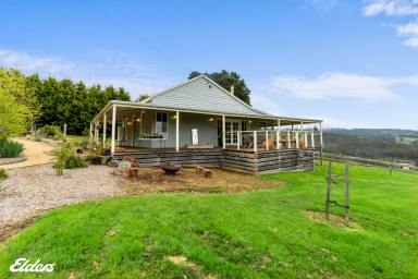 Farm Sold - VIC - Carrajung Lower - 3844 - COUNTRY LIFE WITH PANORAMIC VIEWS ON 25 ACRES!  (Image 2)