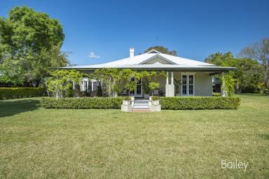 Farm Sold - NSW - Singleton - 2330 - EXCEPTIONALLY BEAUTIFUL EQUINE PROPERTY  (Image 2)