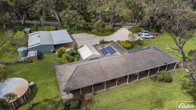 Farm Sold - SA - Meadows - 5201 - Secluded Rural Retreat "Among the Gum Trees"!  (Image 2)