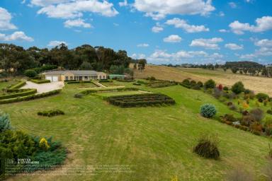 Farm Sold - NSW - Forest Reefs - 2798 - Little Piece of Forest Reefs Paradise  (Image 2)