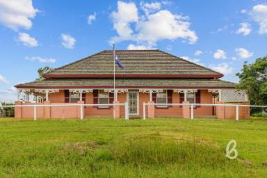 Farm For Sale - NSW - Singleton - 2330 - PRIME AGRICULTURAL HOLDING | 90.4AC  (Image 2)