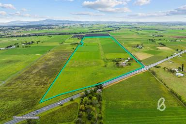 Farm For Sale - NSW - Singleton - 2330 - PRIME AGRICULTURAL HOLDING | 90.4AC  (Image 2)