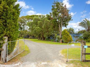Farm Sold - NSW - Mitchells Island - 2430 - SADDLE UP AT SANDRIDGE ROAD  (Image 2)