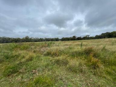 Farm Sold - QLD - Thorndale - 4380 - A little hard work then reap the rewards  (Image 2)