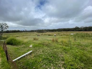 Farm Sold - QLD - Thorndale - 4380 - A little hard work then reap the rewards  (Image 2)