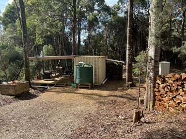 Farm Sold - TAS - Irishtown - 7330 - Off Grid Cabin on 23 Acres  (Image 2)