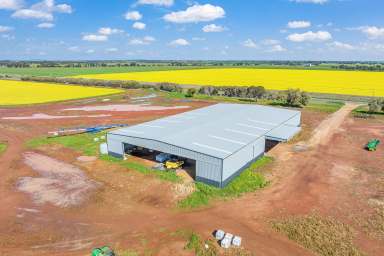 Farm For Sale - VIC - Boort - 3537 - Spot on Farming  (Image 2)