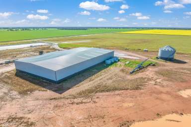 Farm For Sale - VIC - Boort - 3537 - Spot on Farming  (Image 2)