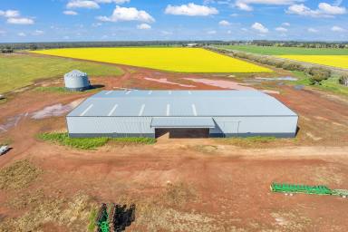 Farm For Sale - VIC - Boort - 3537 - Spot on Farming  (Image 2)