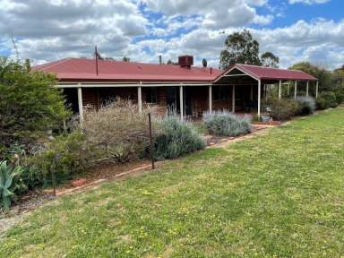 Farm Sold - WA - York - 6302 - OMG What a Property!  (Image 2)