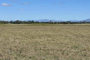 Farm Sold - QLD - Gregory River - 4800 - ONLINE AUCTION
Whitsunday Acreage
Owners want it sold  (Image 2)