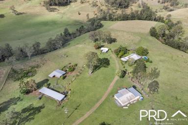 Farm Sold - NSW - Wyneden - 2474 - Spectacular Country Escape  (Image 2)
