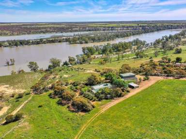 Farm Sold - SA - Pooginook - 5330 - River Frontage…..  (Image 2)