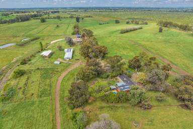 Farm Sold - VIC - Teal Point - 3579 - RURAL - CATTLE - FATTENING, FODDER, LUCERNE or DAIRYING  (Image 2)