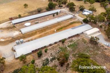 Farm Sold - SA - Blewitt Springs - 5171 - Blewitt Springs Fine Eggs - 9.768 HA - 24.14 Acres  (Image 2)