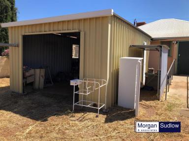 Farm Sold - WA - Trayning - 6488 - NEW TO MARKET - An opportunity to purchase an affordable house in a great country town.  (Image 2)