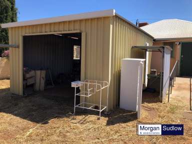 Farm Sold - WA - Trayning - 6488 - NEW TO MARKET - An opportunity to purchase an affordable house in a great country town.  (Image 2)