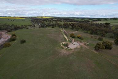 Farm Sold - WA - Beverley - 6304 - Welcome to Primrose farm where your Rural dream awaits you  (Image 2)