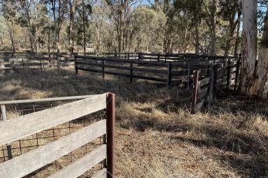 Farm Sold - WA - Dale - 6304 - Charming Block in Excellent Location (72.62ha 179.37 ac)  (Image 2)