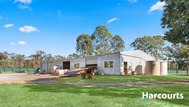 Farm Sold - QLD - North Gregory - 4660 - MASSIVE BRICK HOME AND SHEDS ON 17 ACRES  (Image 2)