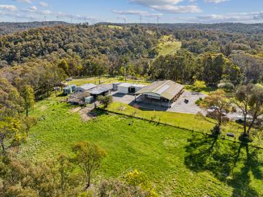 Farm Sold - NSW - Goulburn - 2580 - Rural Lifestyle Escape - House & Granny Flat  (Image 2)