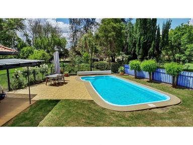 Farm Sold - NSW - Narromine - 2821 - All the peace, quiet and serenity you could ask for!!  (Image 2)