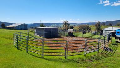 Farm Sold - NSW - Crowther - 2803 - HEAD OF THE VALLEY  (Image 2)